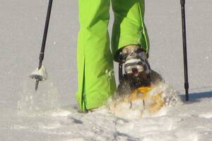 Schneeschuhwandern Fichtelgebirge